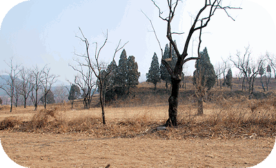 Original location of the Sacred Kitchen