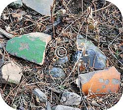 Shards from the roof tiles