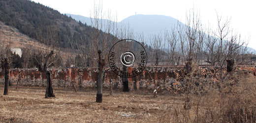 Zhaoling seen from consort tomb 5