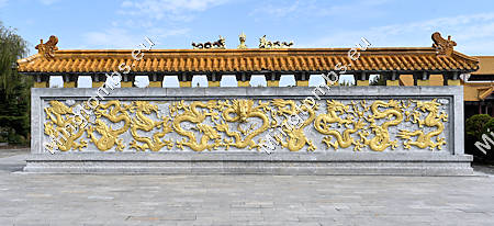 Dragon Screen Wall